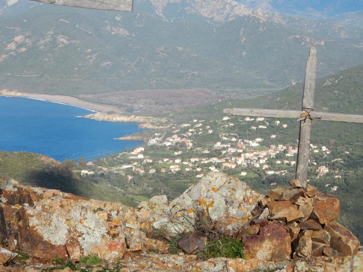 Primavera Galeria (Corsica)